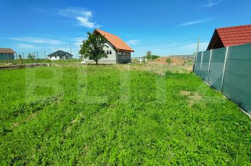 Teren de vanzare SANMARTIN - Bihor anunturi imobiliare Bihor