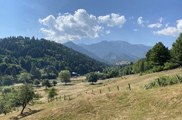 Teren extravilan de vânzare în Râșnov | 6.070 mp | Vedere panoramică anunturi imobiliare Brasov