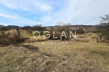 Teren de vanzare CISNADIE - Sibiu anunturi imobiliare Sibiu