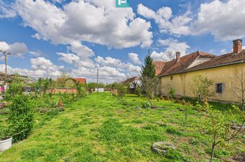Teren 1300 mp, Beregsău Mare anunturi imobiliare Timis