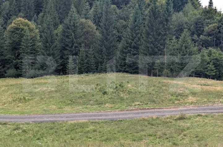 Teren de vanzare BISTRITA - Bistrita-Nasaud anunturi imobiliare Bistrita-Nasaud