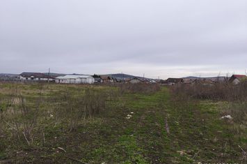 Teren drept  19059 mp - toate utilitățile - asfalt - Sancrai anunturi imobiliare Mures