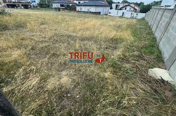 Teren Intravilan de vanzare CETATE - Alba anunturi imobiliare Alba