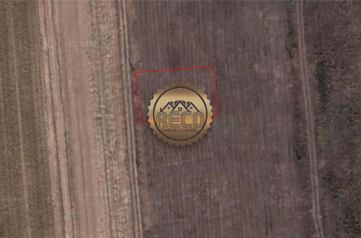 Teren Intravilan de vanzare PALEU - Bihor anunturi imobiliare Bihor