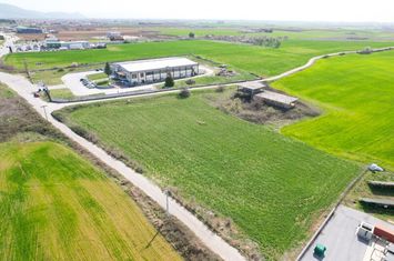 Teren 2.368 mp la km 8 Drama - Kavala anunturi imobiliare Grecia