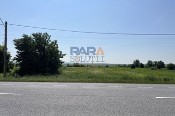 Teren 9969 mp, situat la E85, între două intrări pe autostrada A7 anunturi imobiliare Bacau