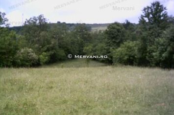 Teren de vânzare în Câmpina (zona semicentrală) anunturi imobiliare Prahova