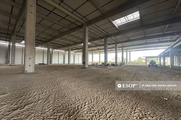 Spațiu industrial de inchiriat OTOPENI - Bucuresti anunturi imobiliare Bucuresti