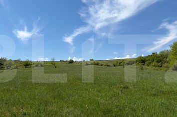 Teren de vanzare CHINTENI - Cluj anunturi imobiliare Cluj