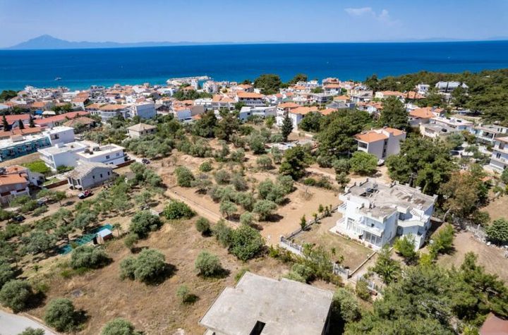 Teren agricol 2285 mp în Theologos, 213 metri de mare anunturi imobiliare Grecia