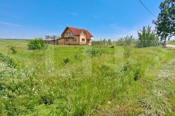 Teren de vanzare PIELESTI - Dolj anunturi imobiliare Dolj