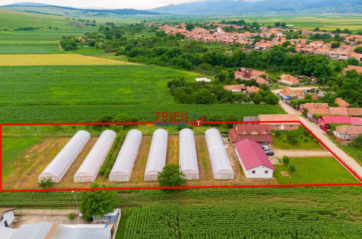 Casă - 5 camere de vanzare PERIFERIE - Alba anunturi imobiliare Alba