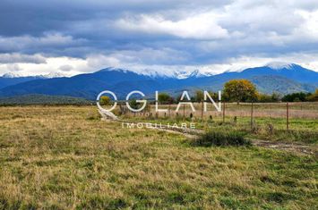 Teren de vanzare AVRIG - Sibiu anunturi imobiliare Sibiu