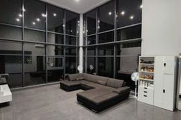 Otopeni, I.G. Duca, inchiriere vila P+1, teren 1.000 mp, 355 mp construiti, an constructie 2008, anunturi imobiliare Bucuresti