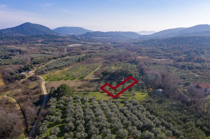 Teren construibil 3.188 mp în Agios Andreas anunturi imobiliare Grecia