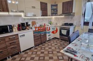Vilă - 5 camere de vanzare CETATE - Alba anunturi imobiliare Alba