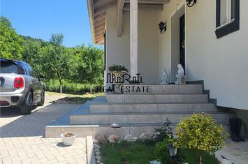 Casă - 3 camere de vanzare BAITA - Hunedoara anunturi imobiliare Hunedoara