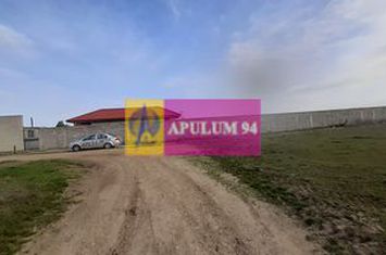 Parcelă lângă pădure în Ilfov anunturi imobiliare Bucuresti