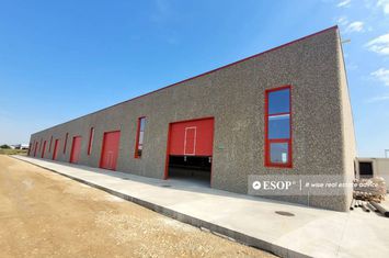 Spațiu industrial de vanzare CHITILA - Bucuresti anunturi imobiliare Bucuresti