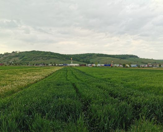 Teren Cristian, 4672 mp
