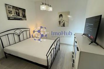 Ap. cu 1 camera, Ultracentral, curte si loc de parcare incluse! anunturi imobiliare Iasi