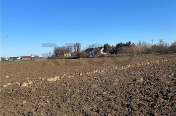 Teren Extravilan de vanzare BIHARIA  - Bihor anunturi imobiliare Bihor