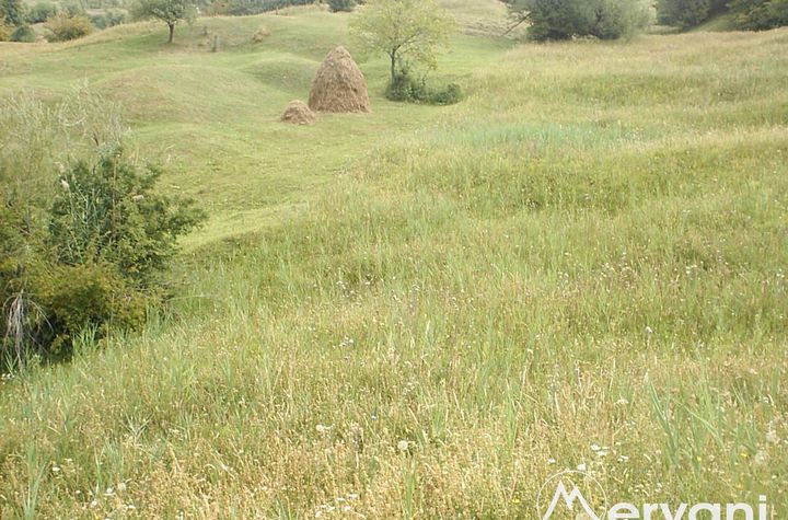 Teren Intravilan de vanzare TELEGA - Prahova anunturi imobiliare Prahova