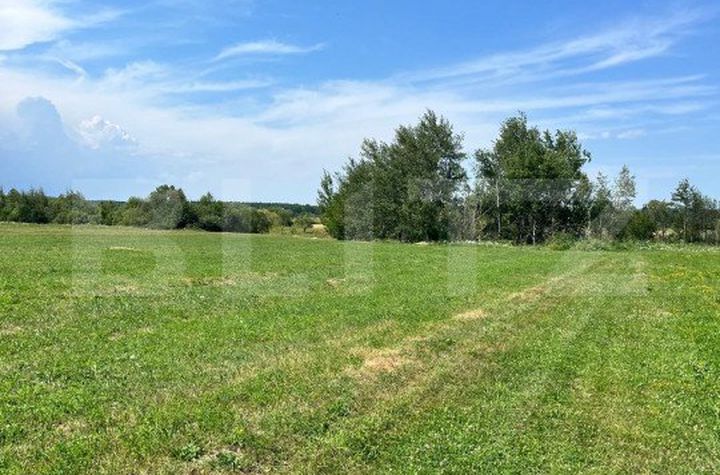 Teren de vanzare RADAUTI - Suceava anunturi imobiliare Suceava