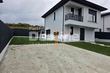 Vilă - 4 camere de vanzare VISANI - Iasi anunturi imobiliare Iasi