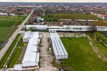 Hale depozitare/producție 2.000 mp si 10.000 mp teren în Pecica anunturi imobiliare Arad