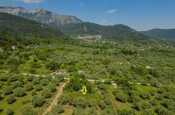 Teren agricol (vie) 617,04 mp în Skala Potamia, Thassos anunturi imobiliare Grecia
