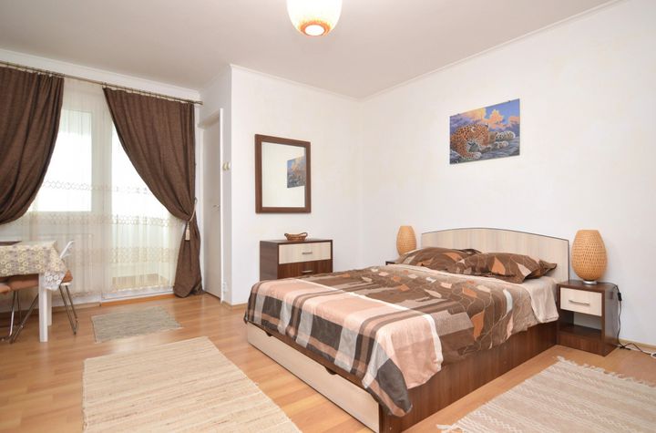 Garsonieră de inchiriat DRISTOR - Bucuresti anunturi imobiliare Bucuresti