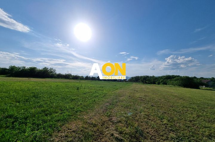 De vanzare 1974mp teren intravilan, cu utilitati, Oarda de Sus anunturi imobiliare Alba