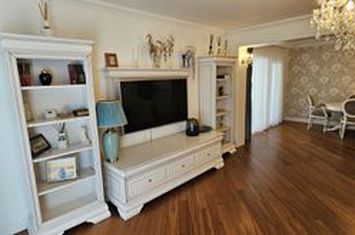 Baneasa Iancu Nicolae vila 4 camere de vanzare anunturi imobiliare Bucuresti