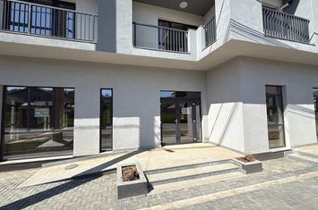 Spațiu comercial de inchiriat VISANI - Iasi anunturi imobiliare Iasi