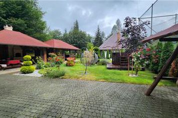 Spațiu comercial de vanzare SUCEVITA - Suceava anunturi imobiliare Suceava