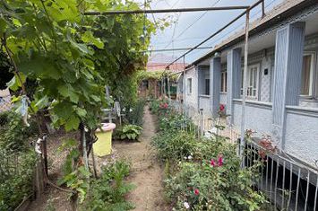 Casă / Vilă cu 6 camere de vânzare anunturi imobiliare Vaslui