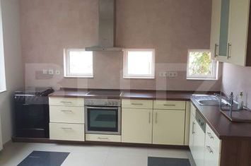 Vilă - 5 camere de inchiriat MOSNITA NOUA - Timis anunturi imobiliare Timis