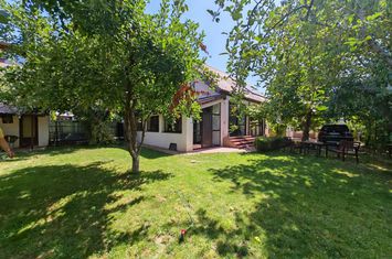 Casă - 5 camere de inchiriat MOGOSOAIA - Bucuresti anunturi imobiliare Bucuresti