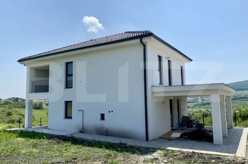 Vilă - 4 camere de vanzare CHINTENI - Cluj anunturi imobiliare Cluj