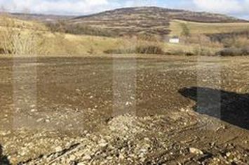 Teren de vanzare BORSA - Cluj anunturi imobiliare Cluj