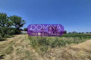 Teren de vanzare DRAGUTESTI - Gorj anunturi imobiliare Gorj