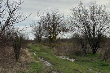 Vanzare - Teren - 600 mp - Popesti - Strada Viilor anunturi imobiliare Bucuresti