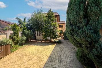 Foto 3 Casă individuală cu 4/5 locuri de parcare în Domenii anunturi imobiliare Sector 1