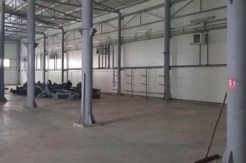 Pantelimon DN3 hala 870 mp anunturi imobiliare Bucuresti