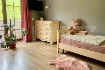 Vilă - 5 camere de vanzare VIISOARA - Cluj anunturi imobiliare Cluj