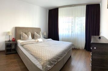 Apartament 2 camere de vanzare POPA SAPCA - Arges anunturi imobiliare Arges