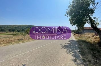 Teren de vanzare BALANESTI - Gorj anunturi imobiliare Gorj
