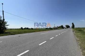Teren 9969 mp, situat la E85, între două intrări pe autostrada A7 anunturi imobiliare Bacau