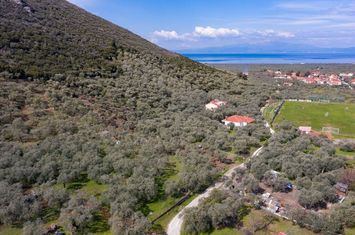 Teren construibil 1041,46 mp în Prinos, Thassos anunturi imobiliare Grecia